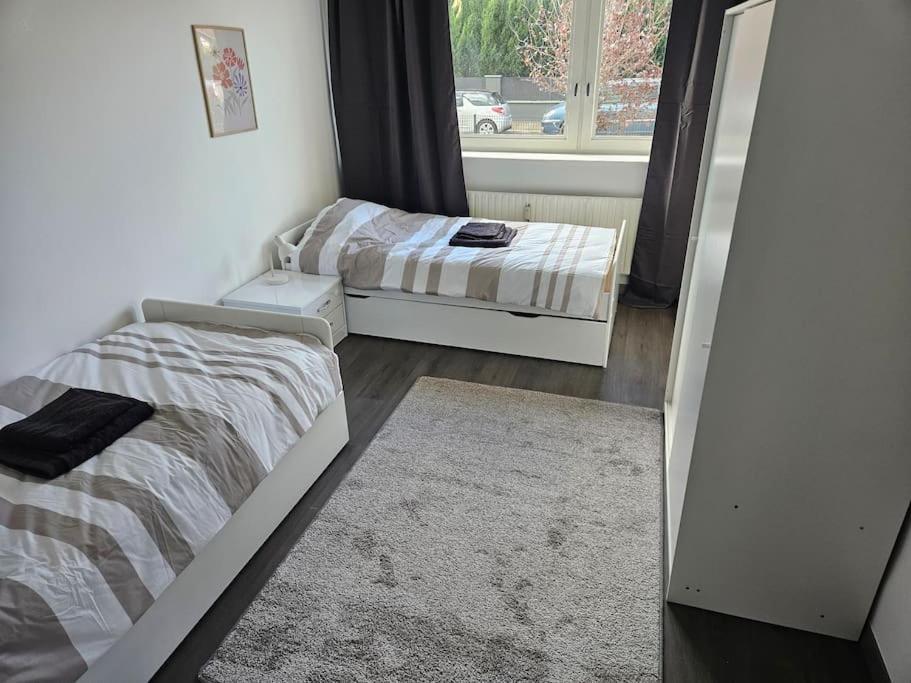 Charmant Appartement Moderne 71M2 A Illzach - Mulhouse - Parking Gratuit Eksteriør bilde